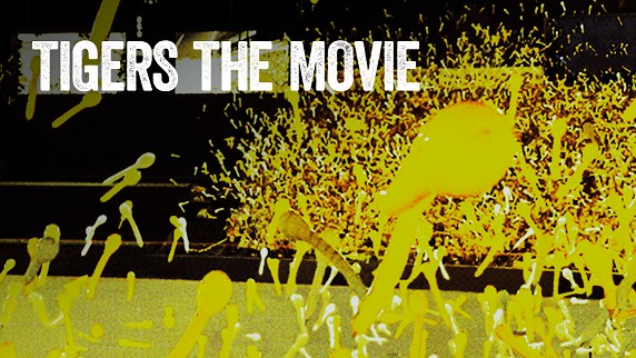 2021-02-01-npb-DAZN-tigers