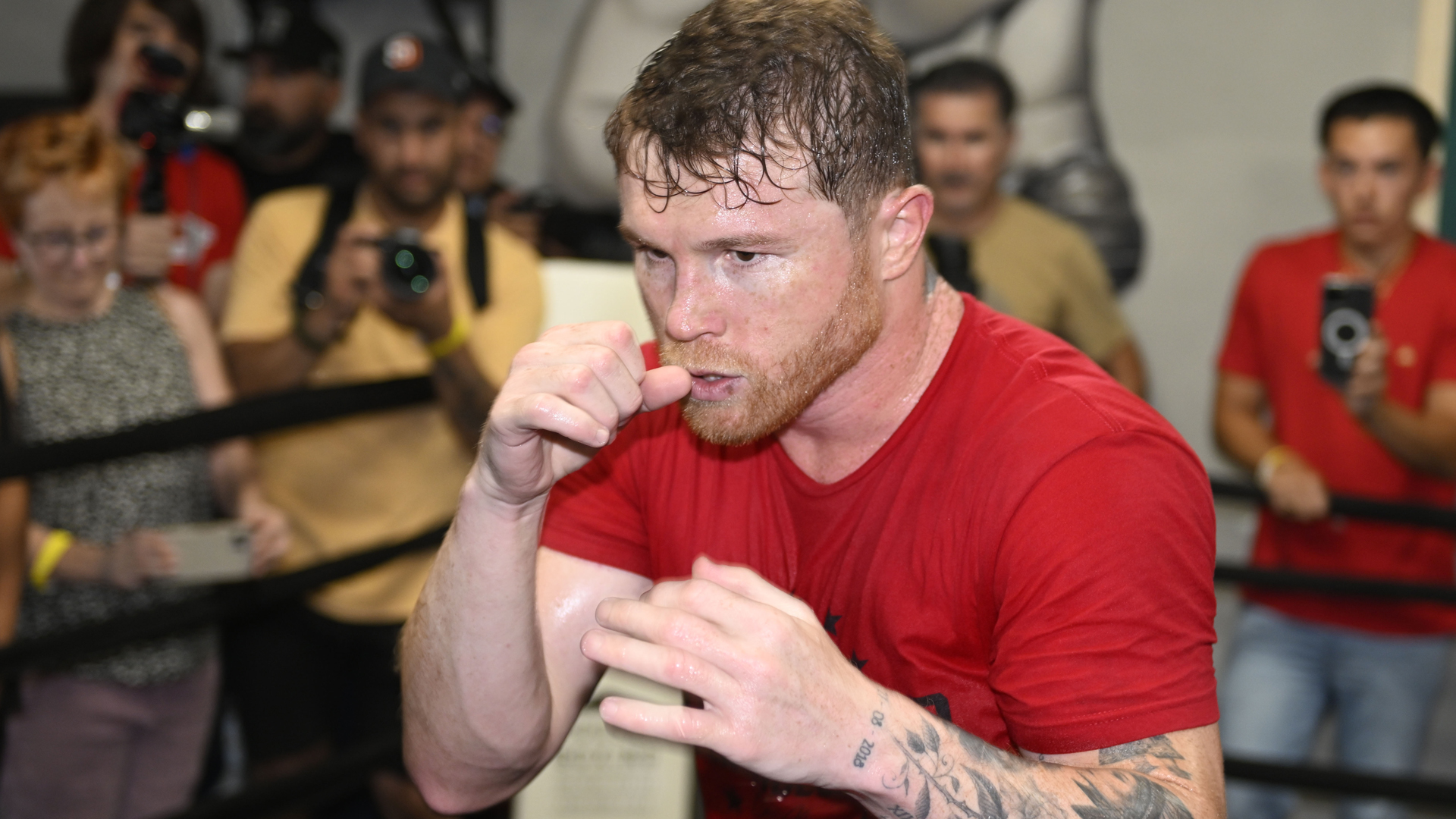 Canelo Alvarez
