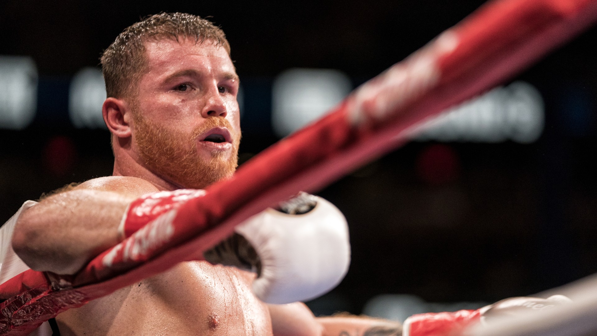 Canelo Alvarez Boxen 2018