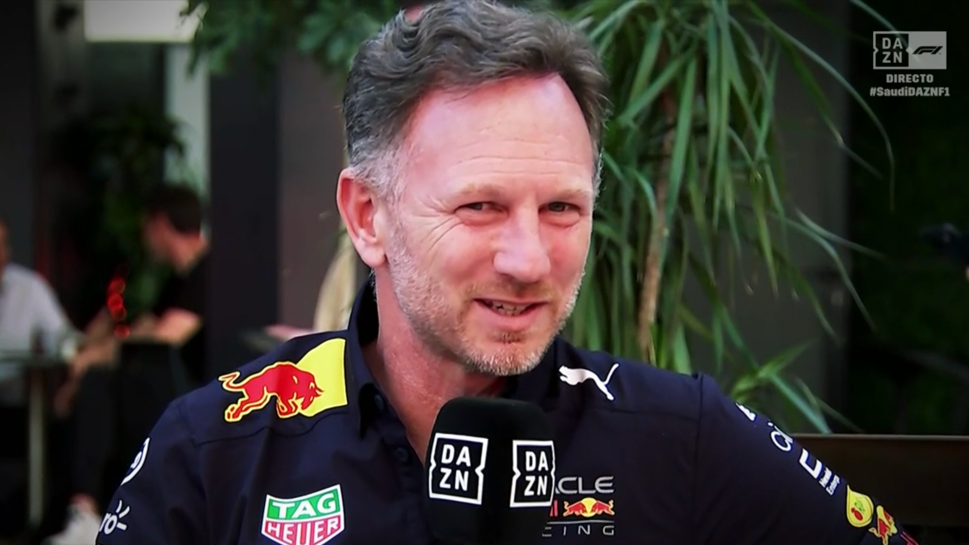 Christian Horner, Red Bull, F1