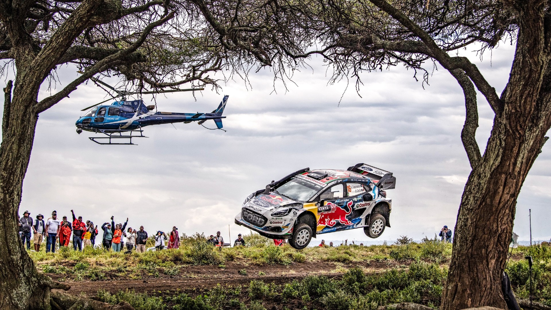 M-Sport Safari WRC
