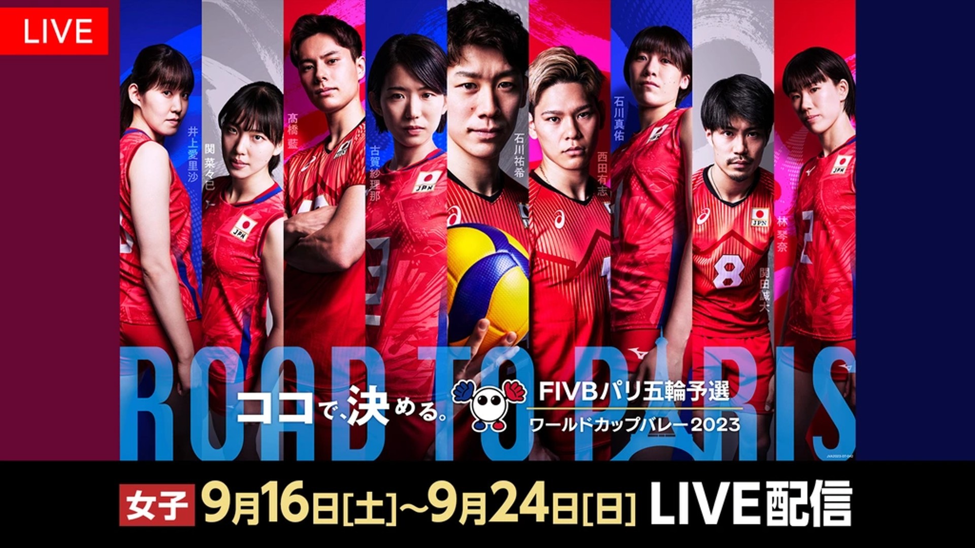 world cup volleyball 2023 women