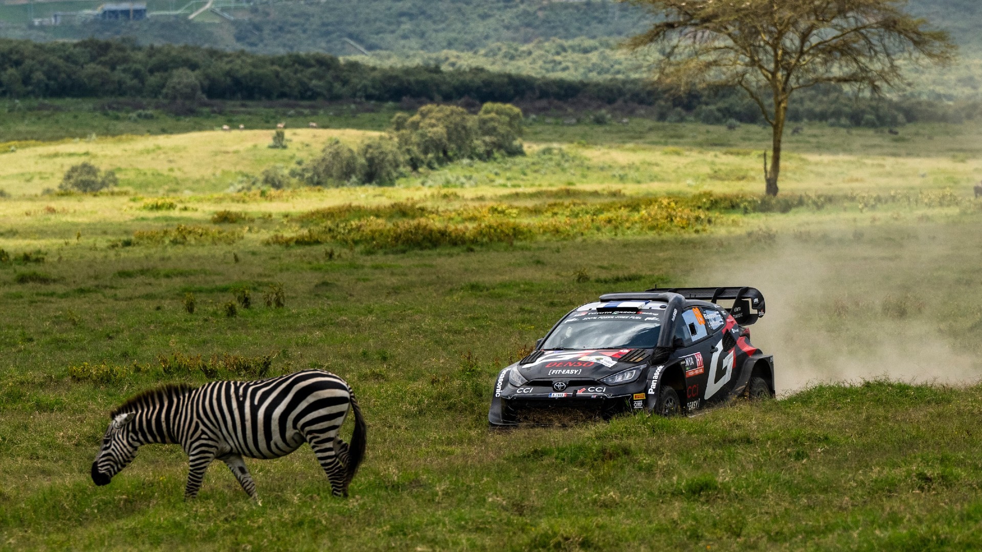 Kalle Rovanpera 2024 Safari WRC