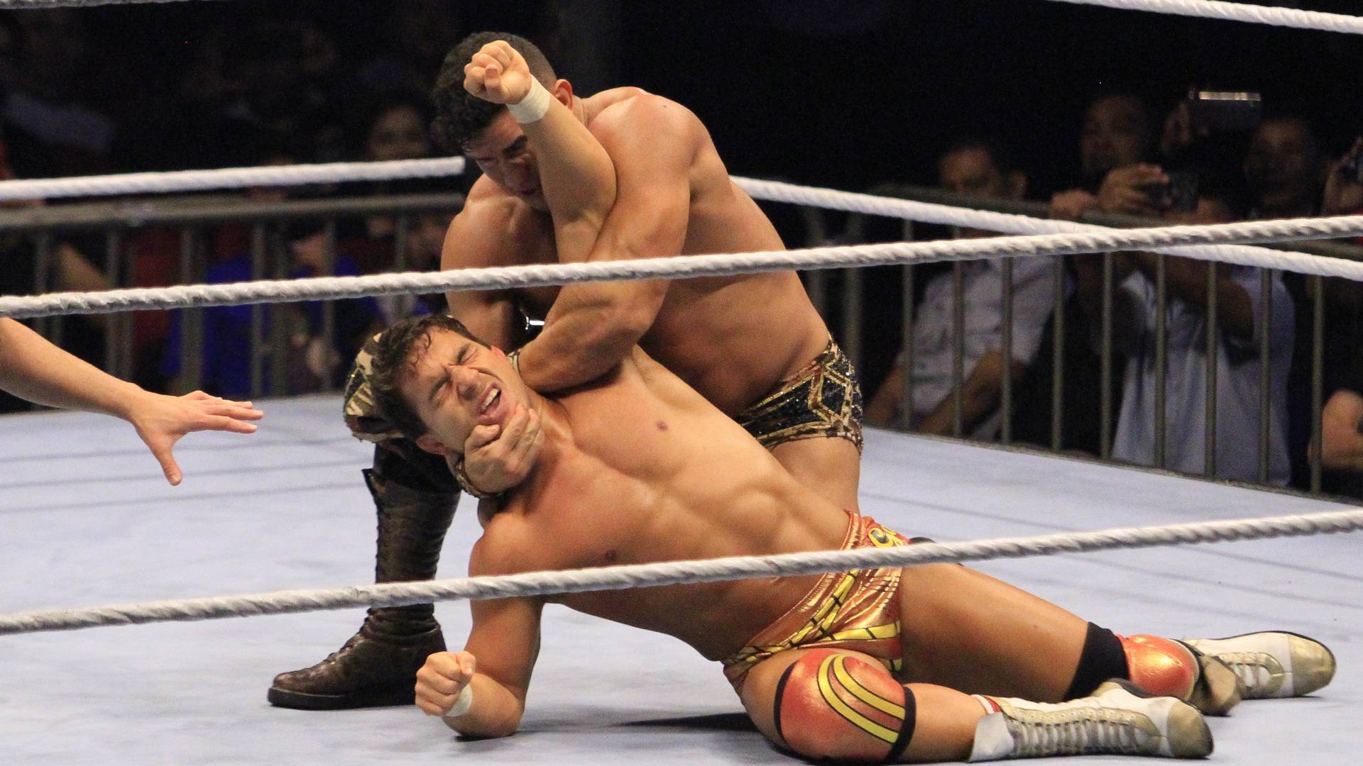 WWE Smackdown Wrestling