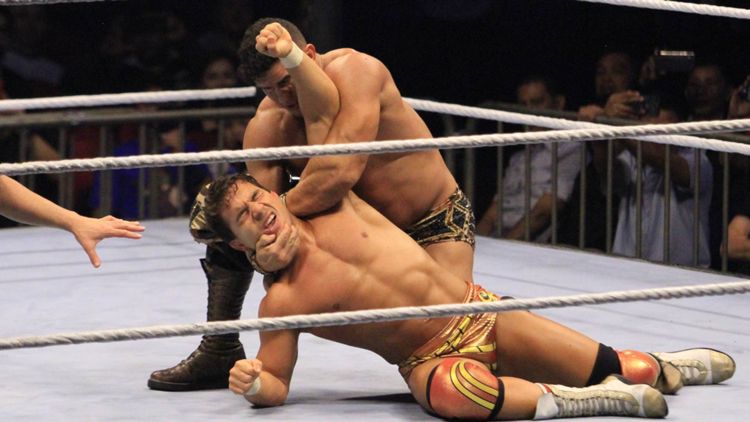 WWE Smackdown Wrestling