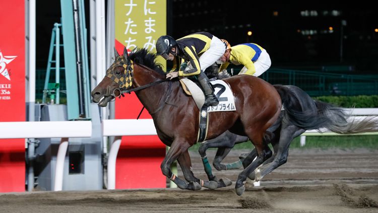 サトノプライム20210804東京記念トライアル