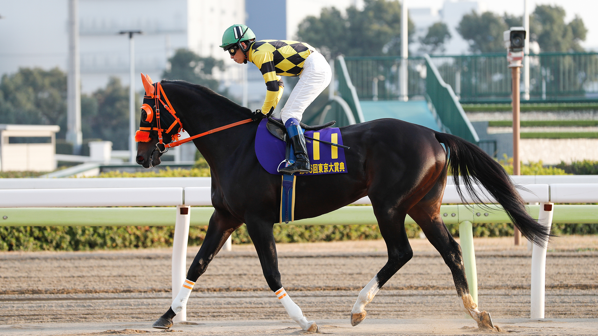 ノーブルサターン