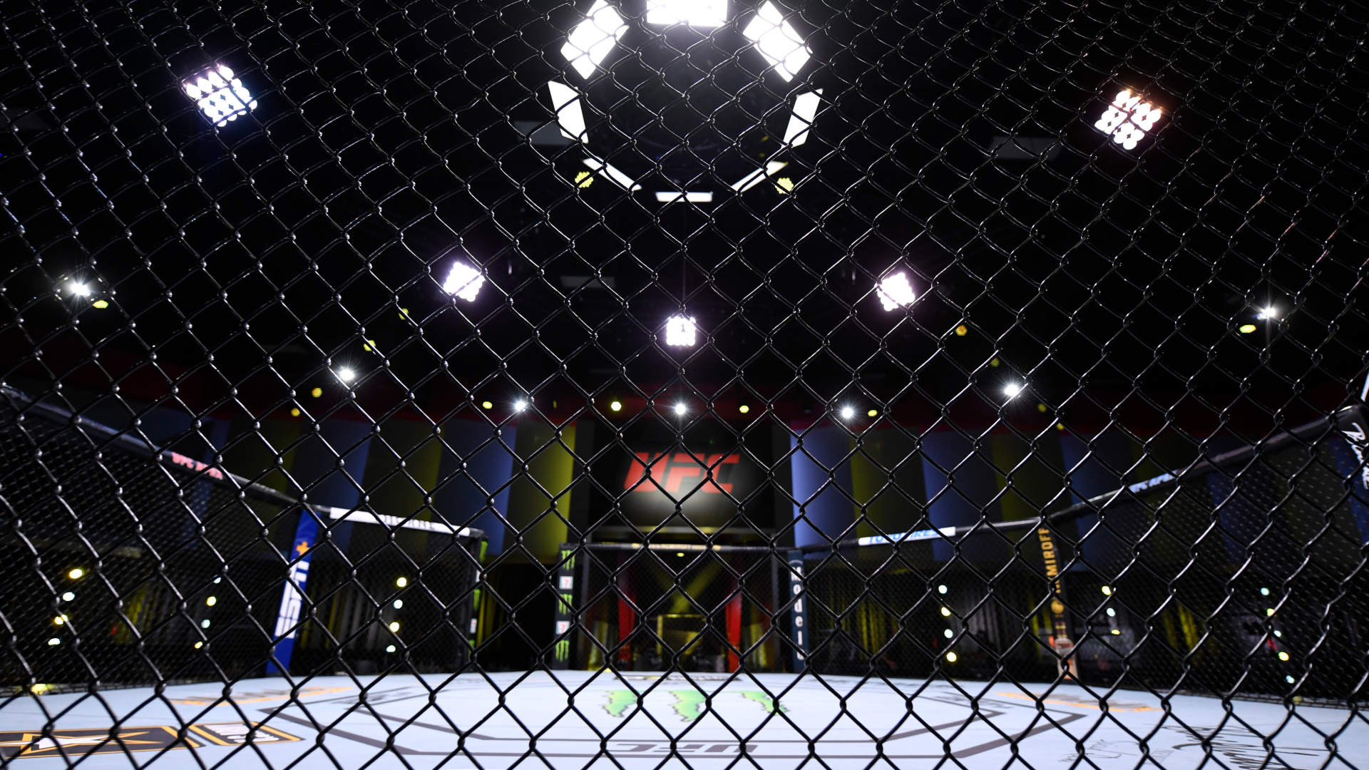 UFC Fight Night Octagon MMA