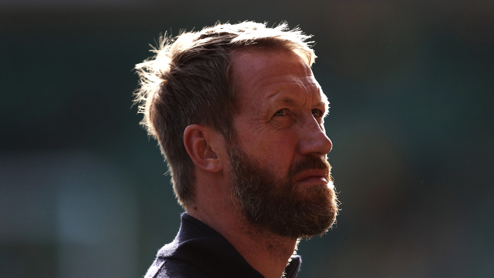 brighton-potter-premier