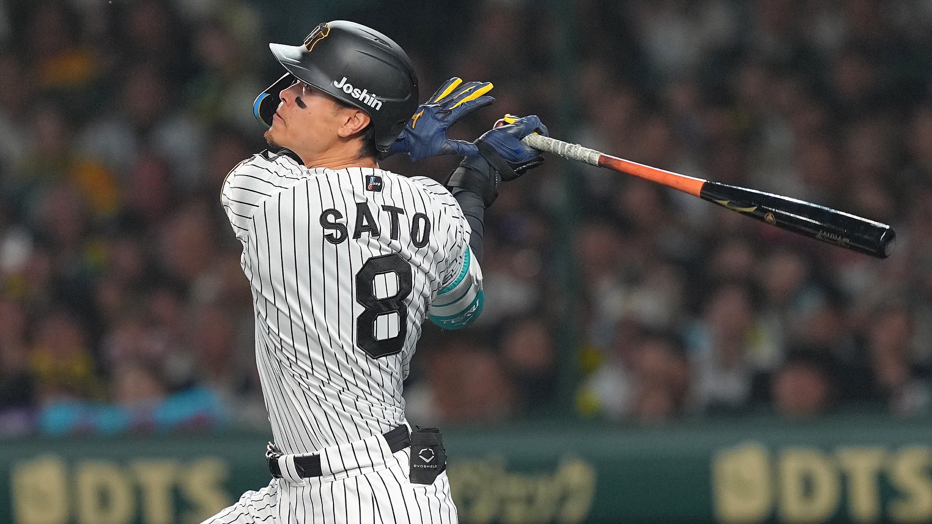 2025-04-25-npb-tigers-sato