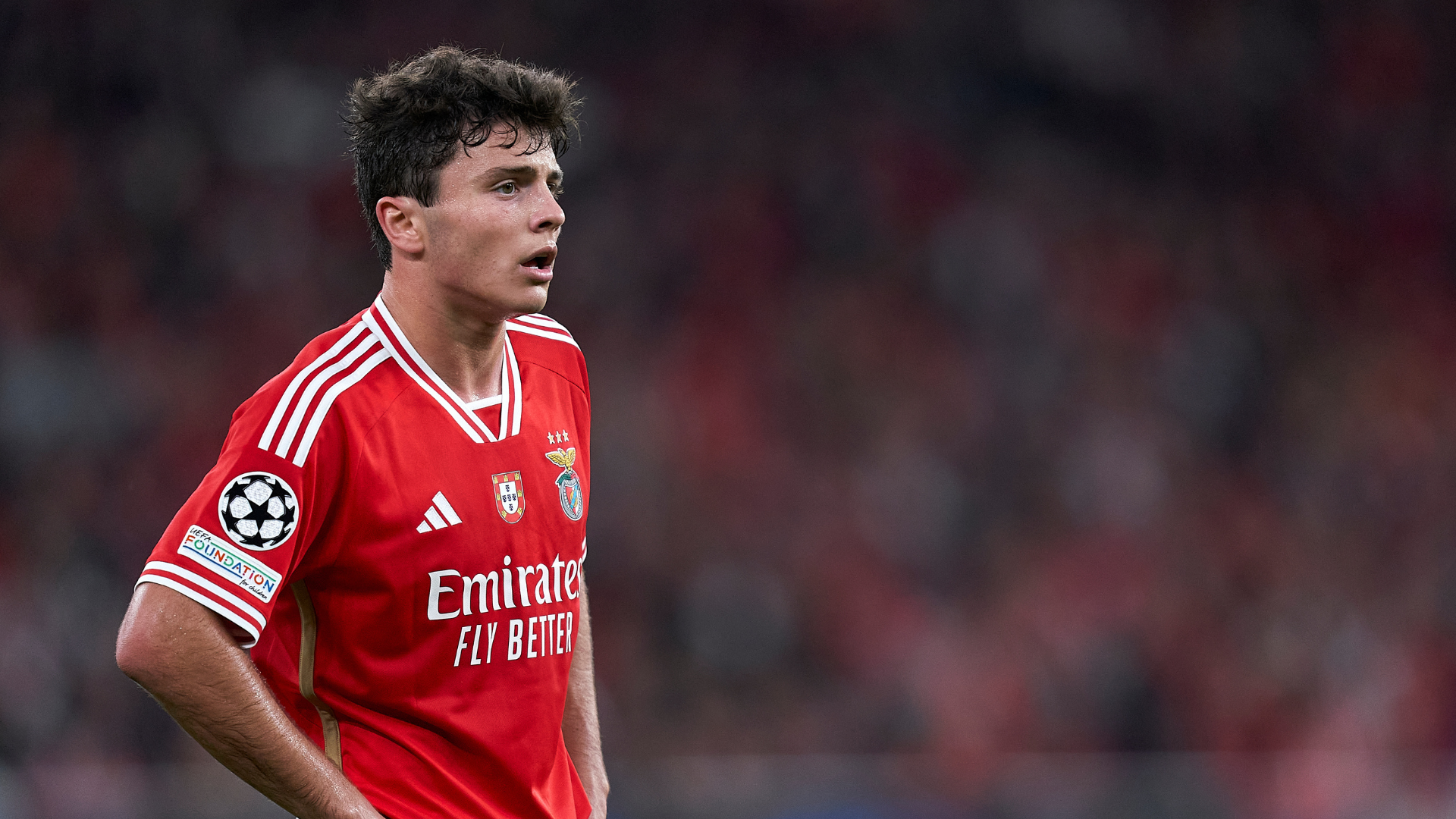 João Neves Benfica Champions League