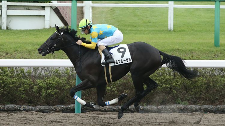 デルマルーヴル