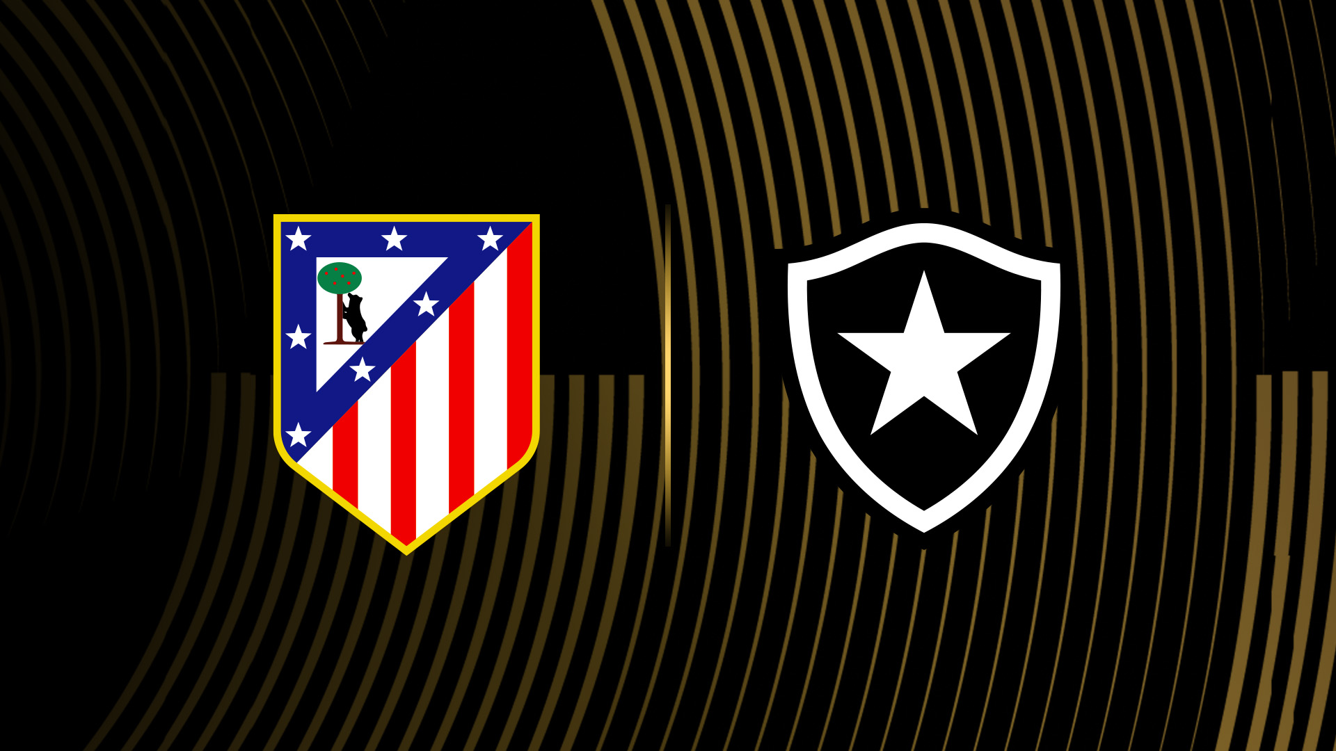 Atletico Madrid vs Botafogo MP image