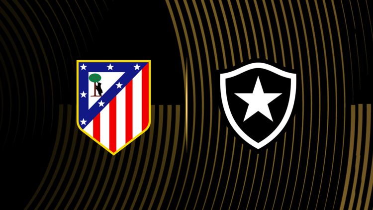 Atletico Madrid vs Botafogo MP image