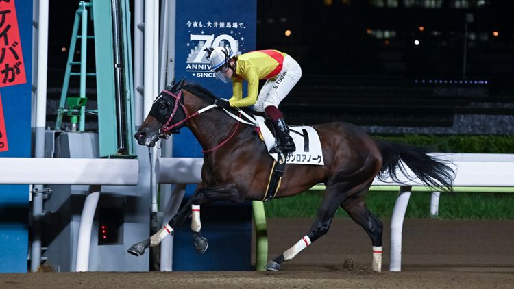 サンロアノーク