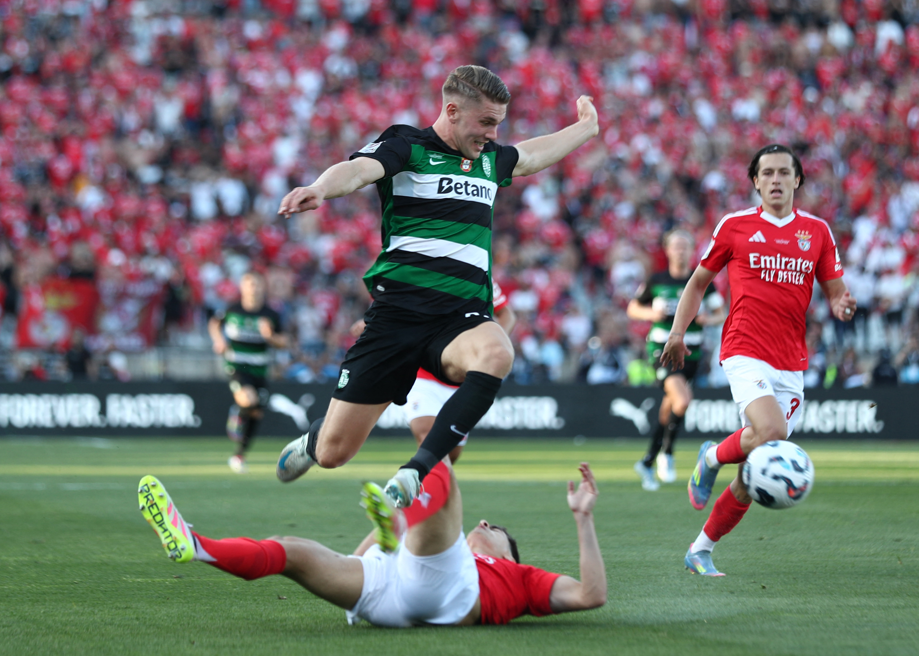Sporting Benfica Taça de Portugal