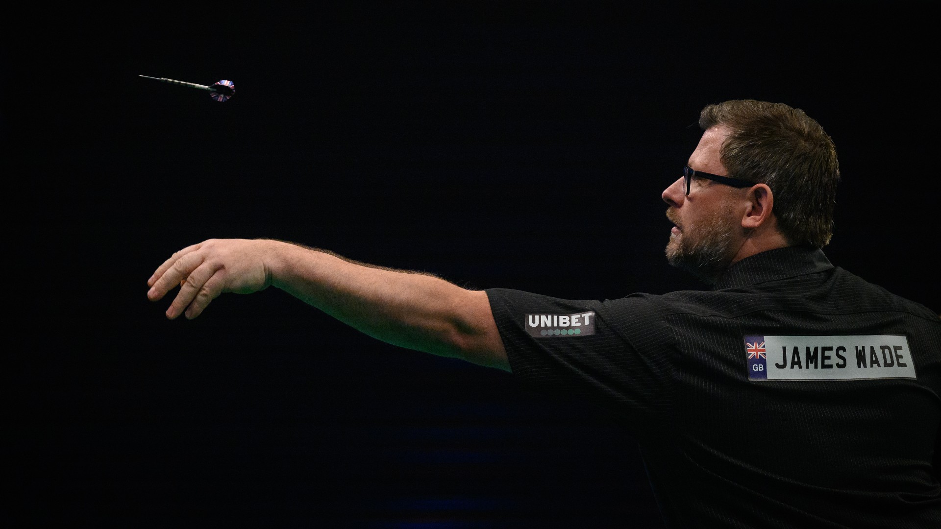 James Wade Darts Dartpfeil