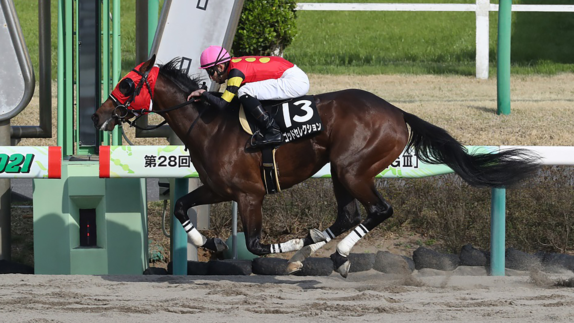 2021-0713-tck-God-Selection