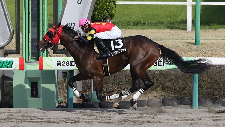 2021-0713-tck-God-Selection