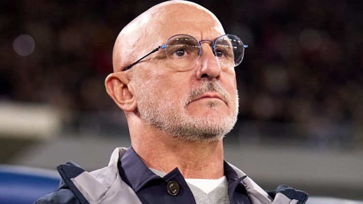 Luis de la Fuente, Spain