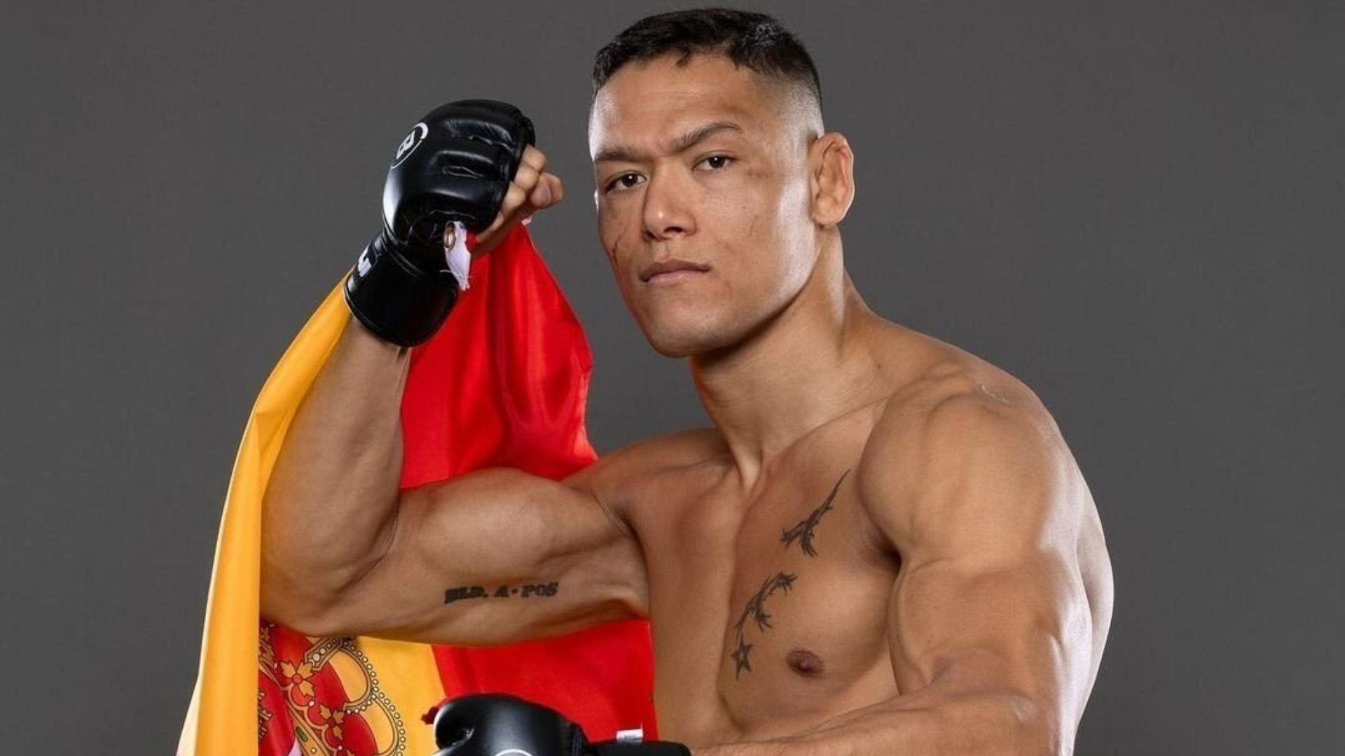 Costello van Steenis, MMA