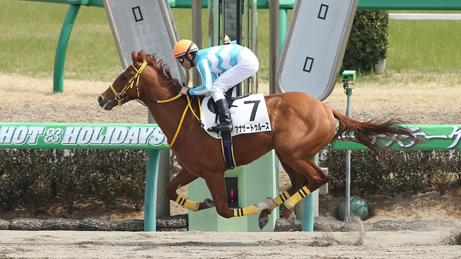 アナザートゥルース