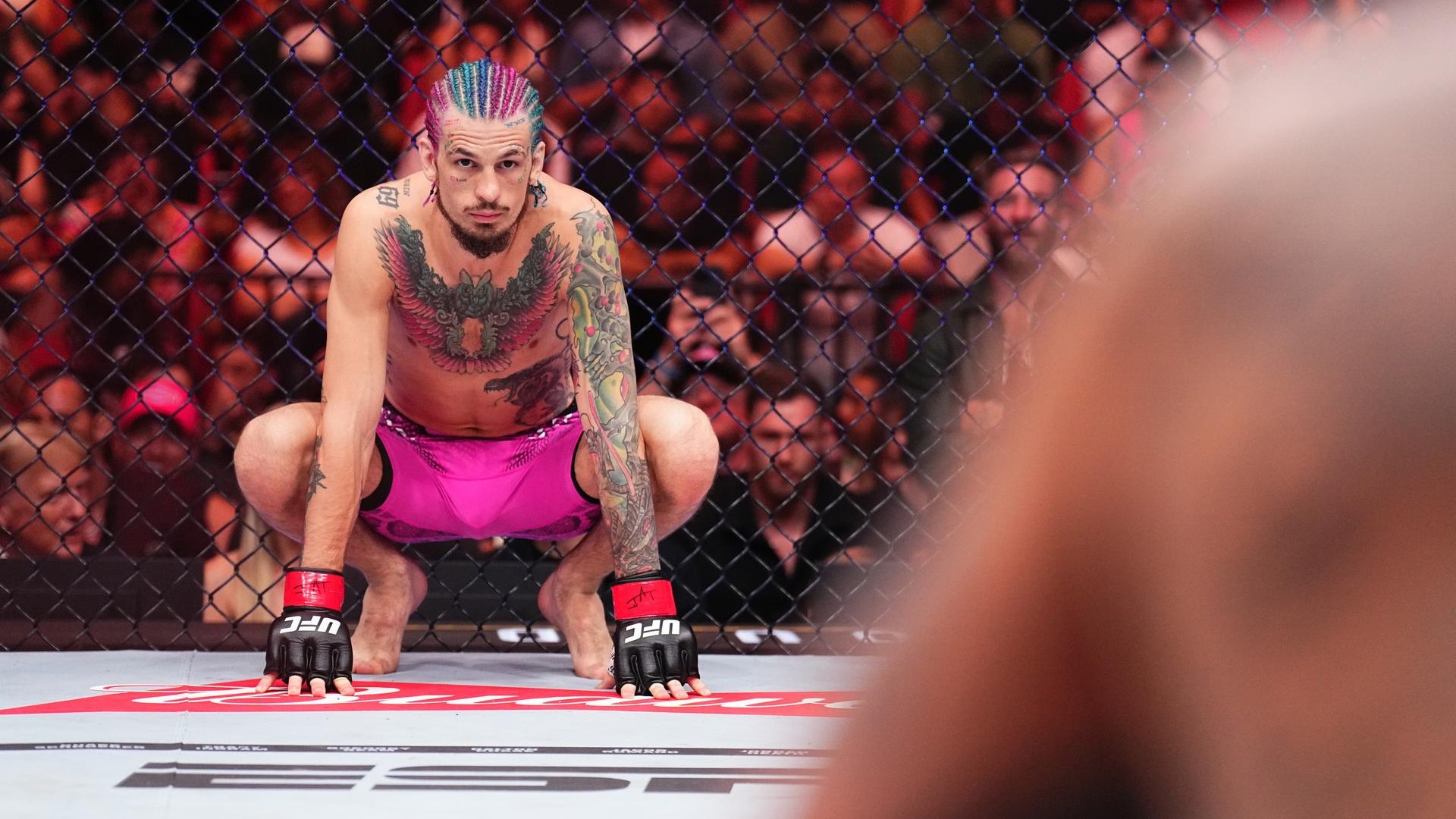 Sean O'Malley MMA UFC 09032024