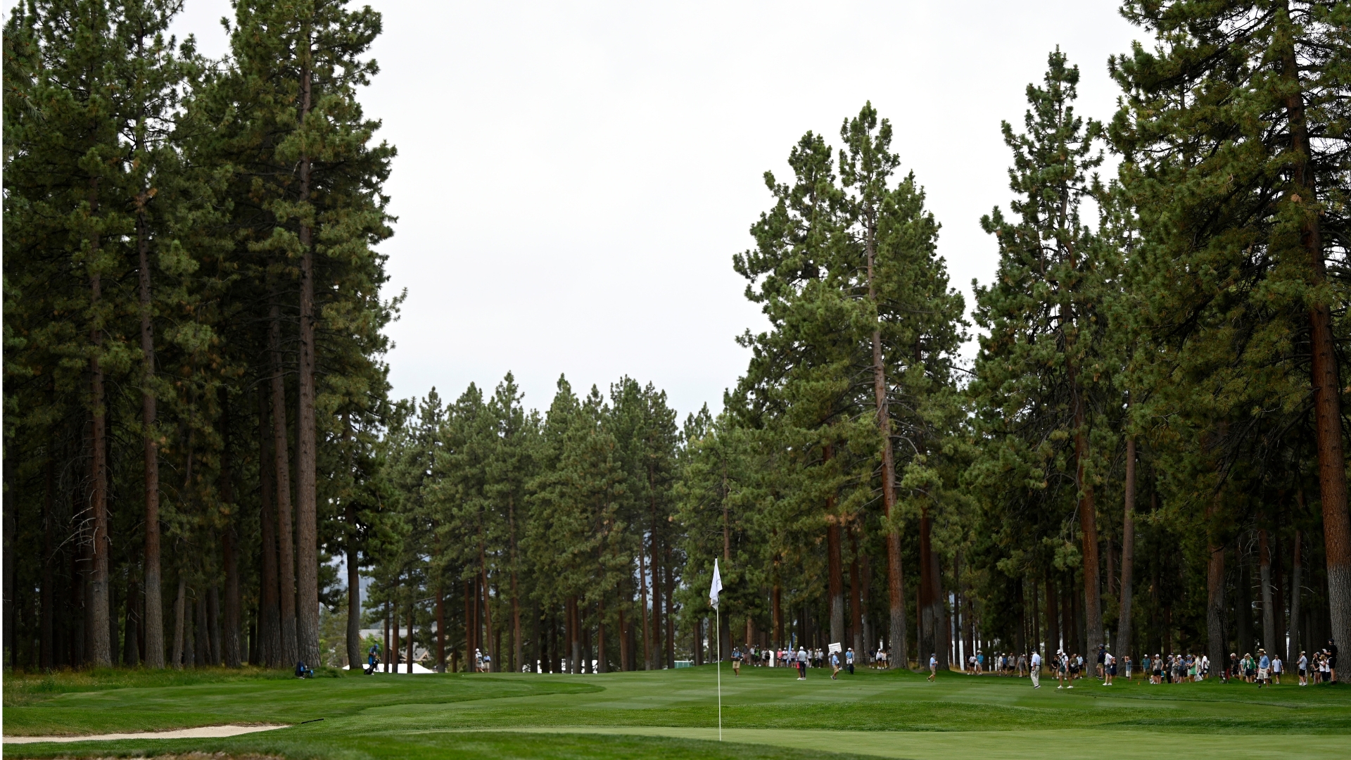 15th hole at the Edgewood Tahoe Golf Course 16x9