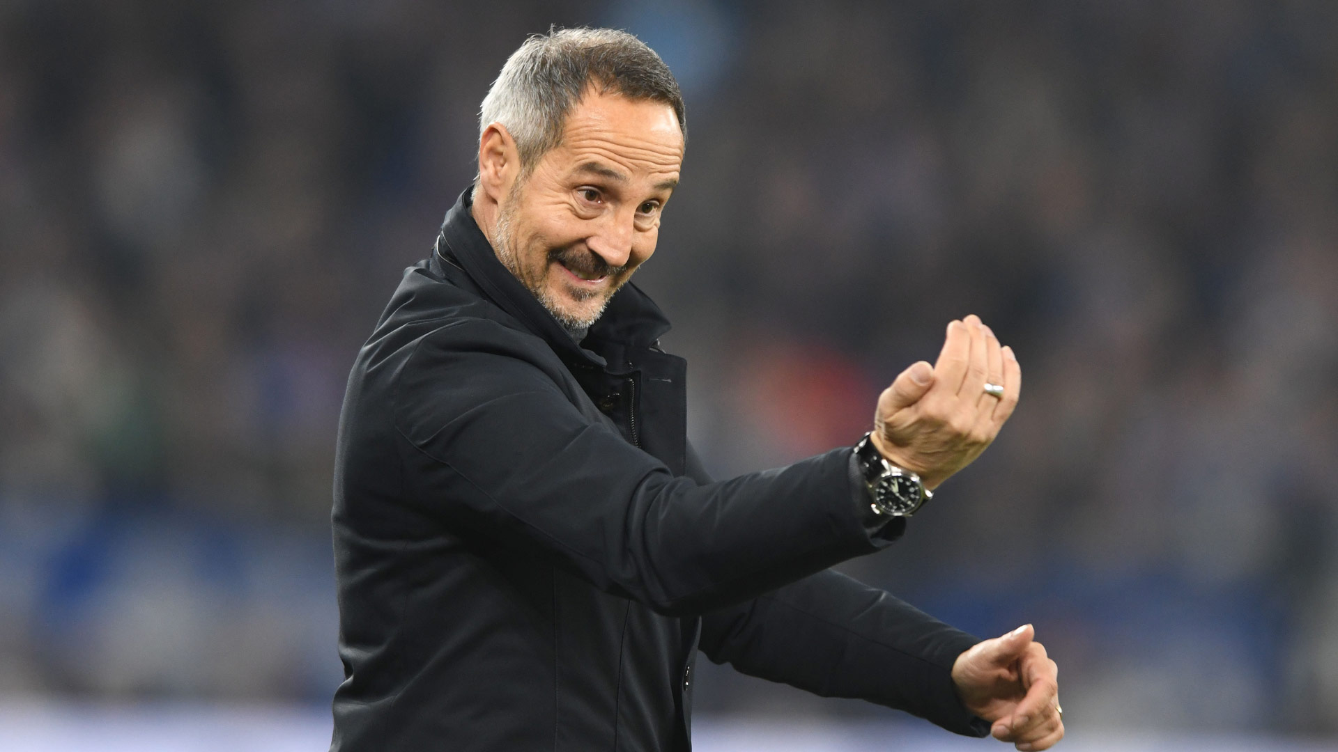 Adi Hütter Eintracht Frankfurt 15122019