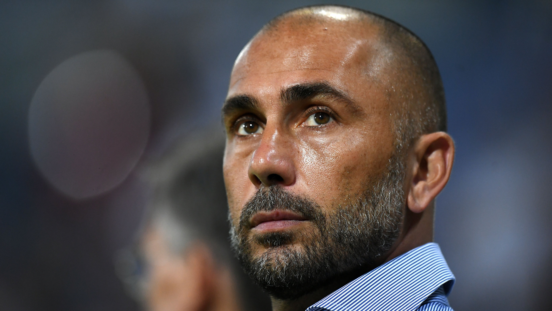 Marco Di Vaio, Bologna