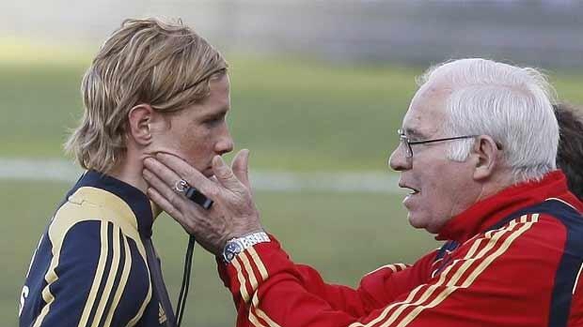 Luis Aragonés Fernando Torres
