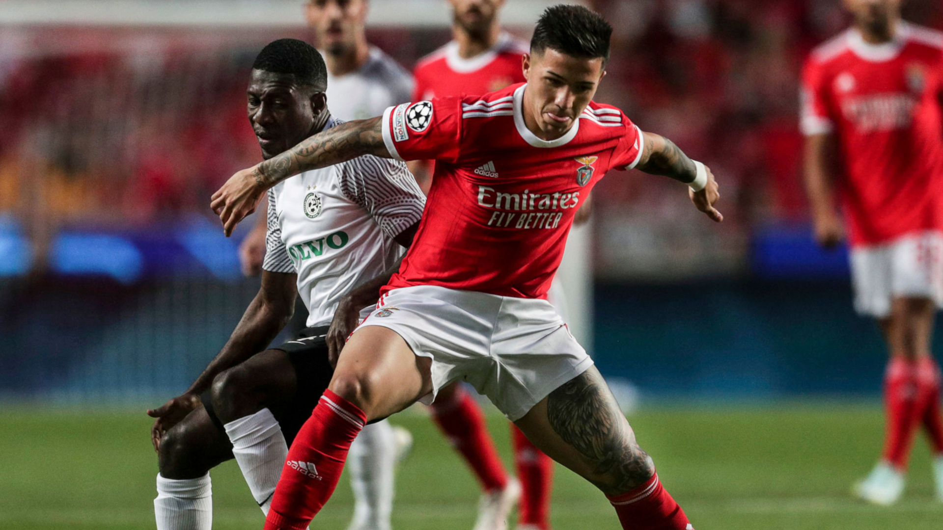 Maccabi Haifa Benfica Lissabon Ali Mohamed Enzo FernandezChampions League 20220906