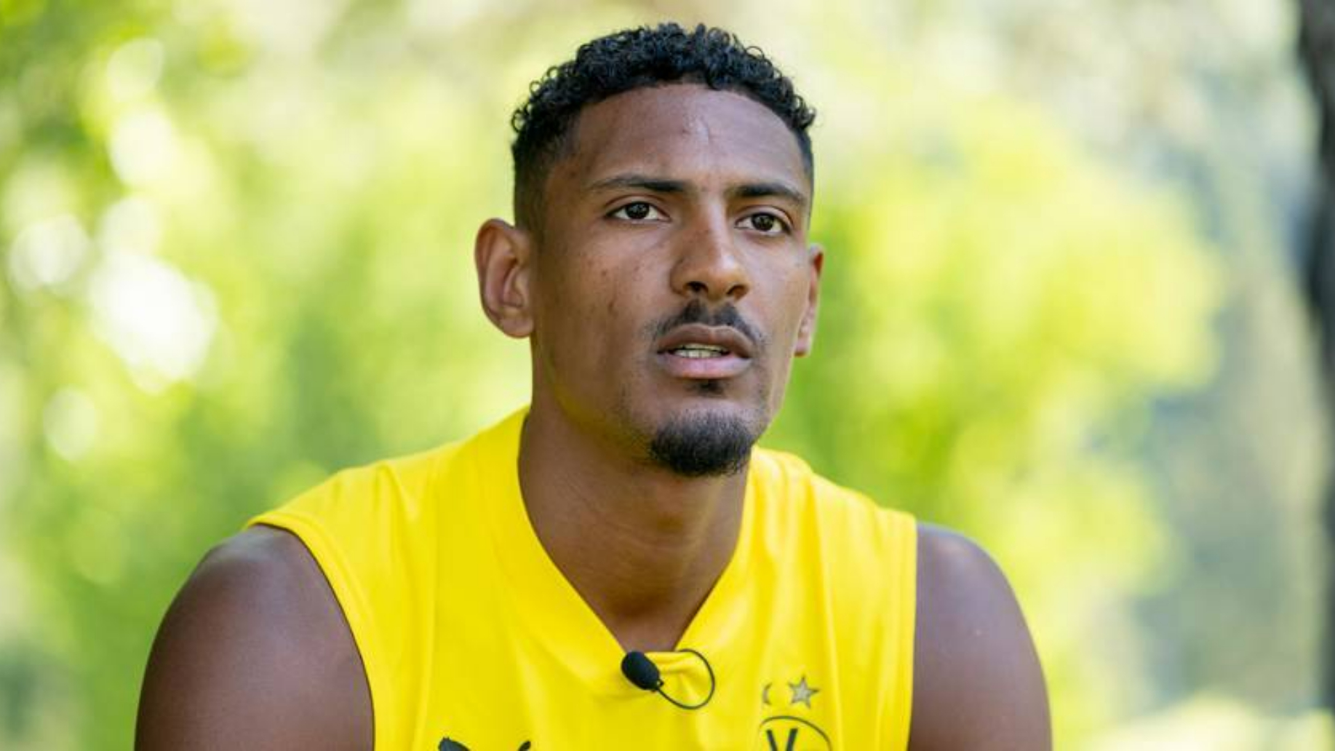 Sébastien Haller, Borussia Dortmund, Bundesliga