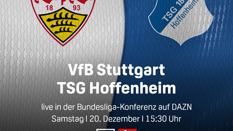 VfB Stuttgartt TSG Hoffenheim Bundesliga