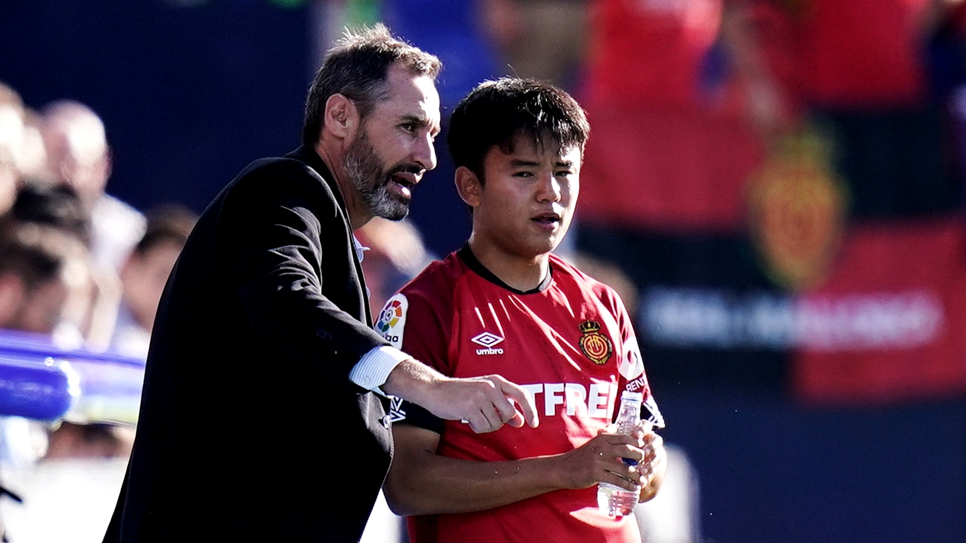 2019-10-26-Mallorca-Kubo