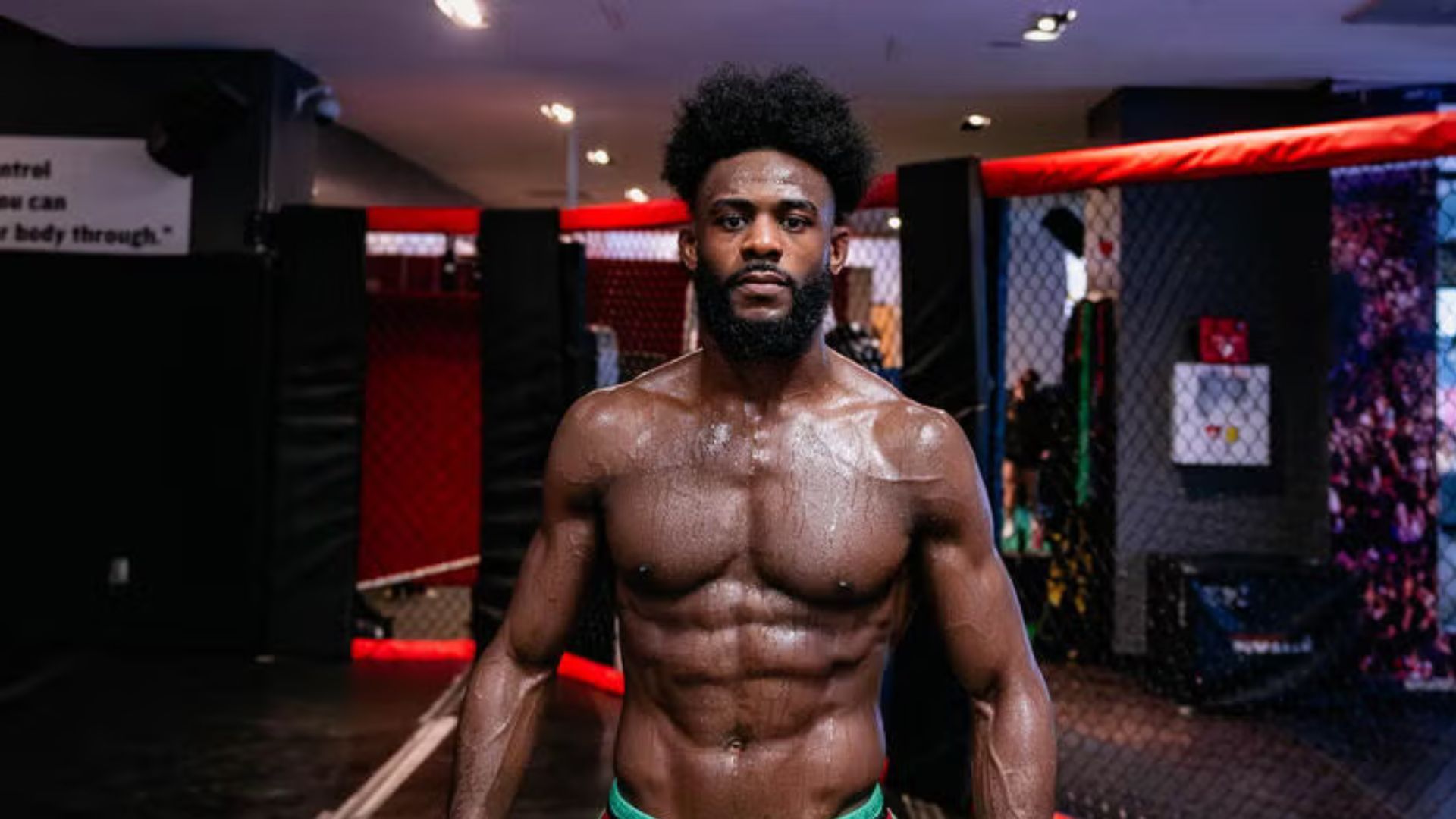 Aljamain Sterling