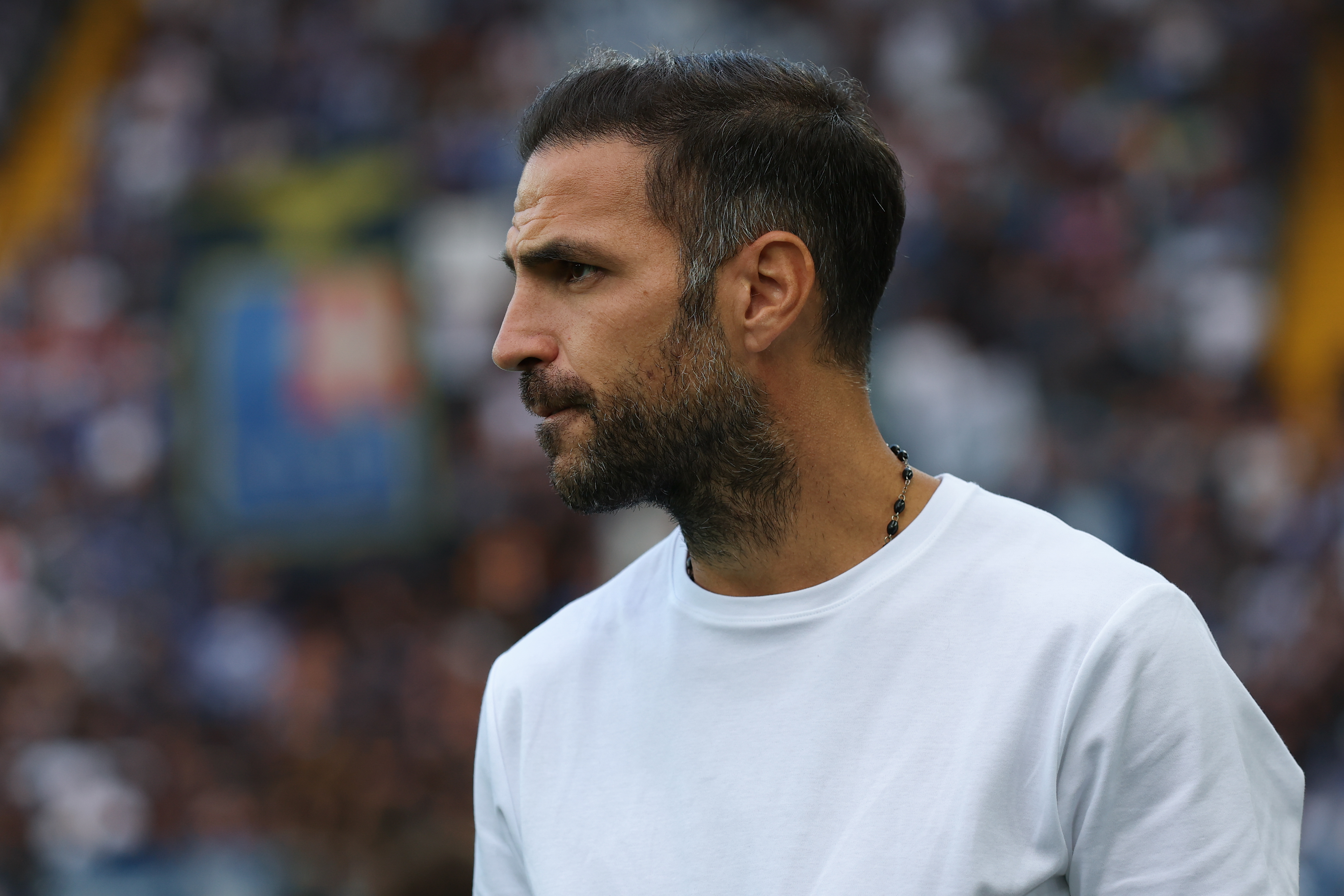 Fabregas 08/26