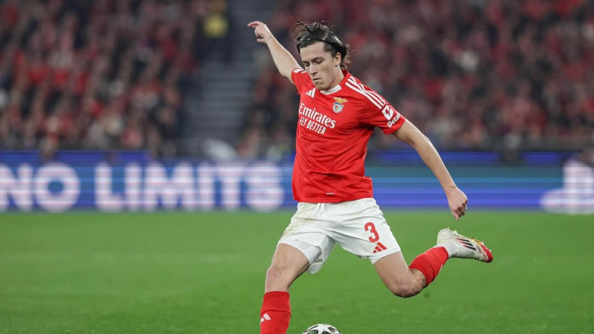 Álvaro Carreras Benfica