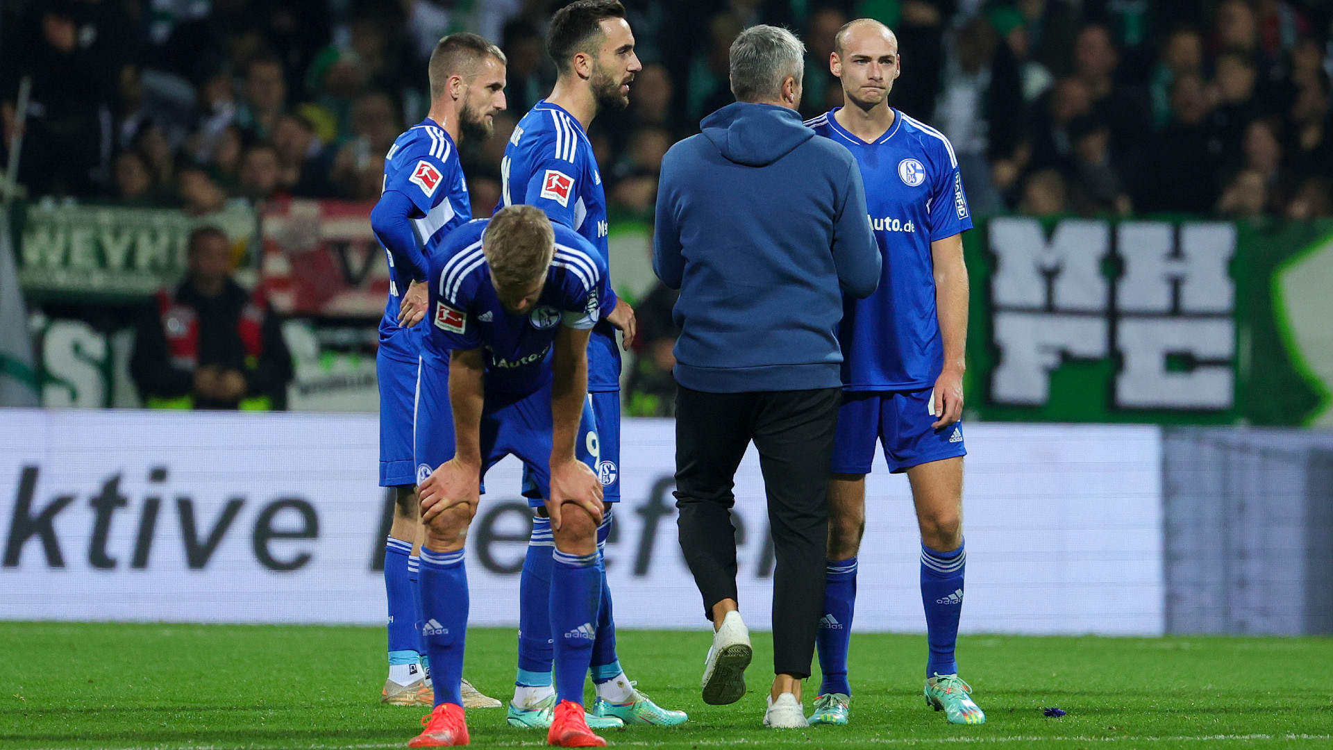 Thomas Reis FC Schalke 04 05112022