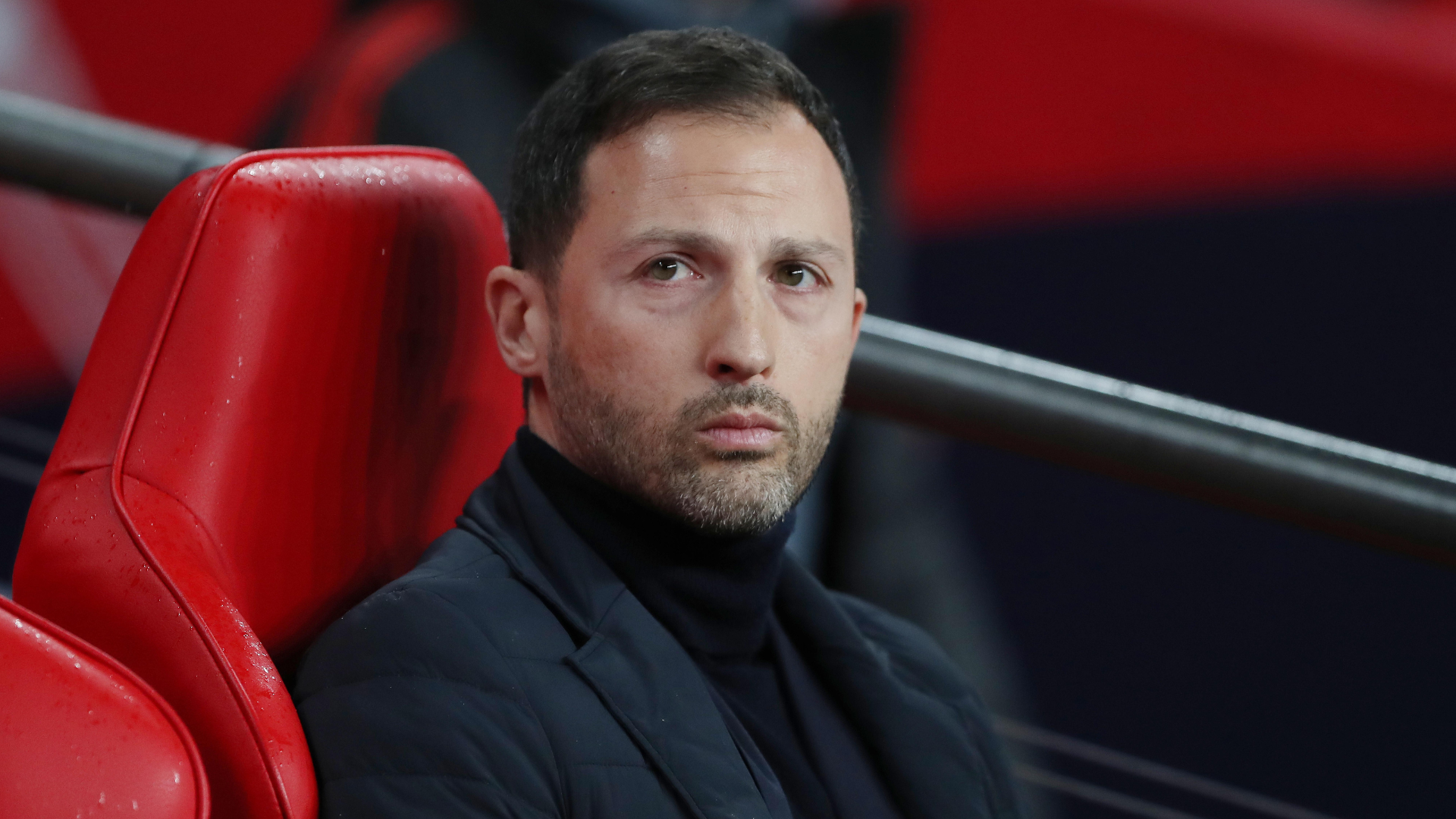 Domenico Tedesco, Bélgica, 2024