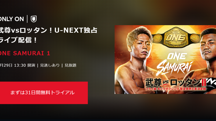 武尊の引退試合vsロッタンはU-NEXTでライブ配信&地上波フジテレビ系列 武尊の引退試合vsロッタンはU-NEXTでライブ配信&地上波フジテレビ系列