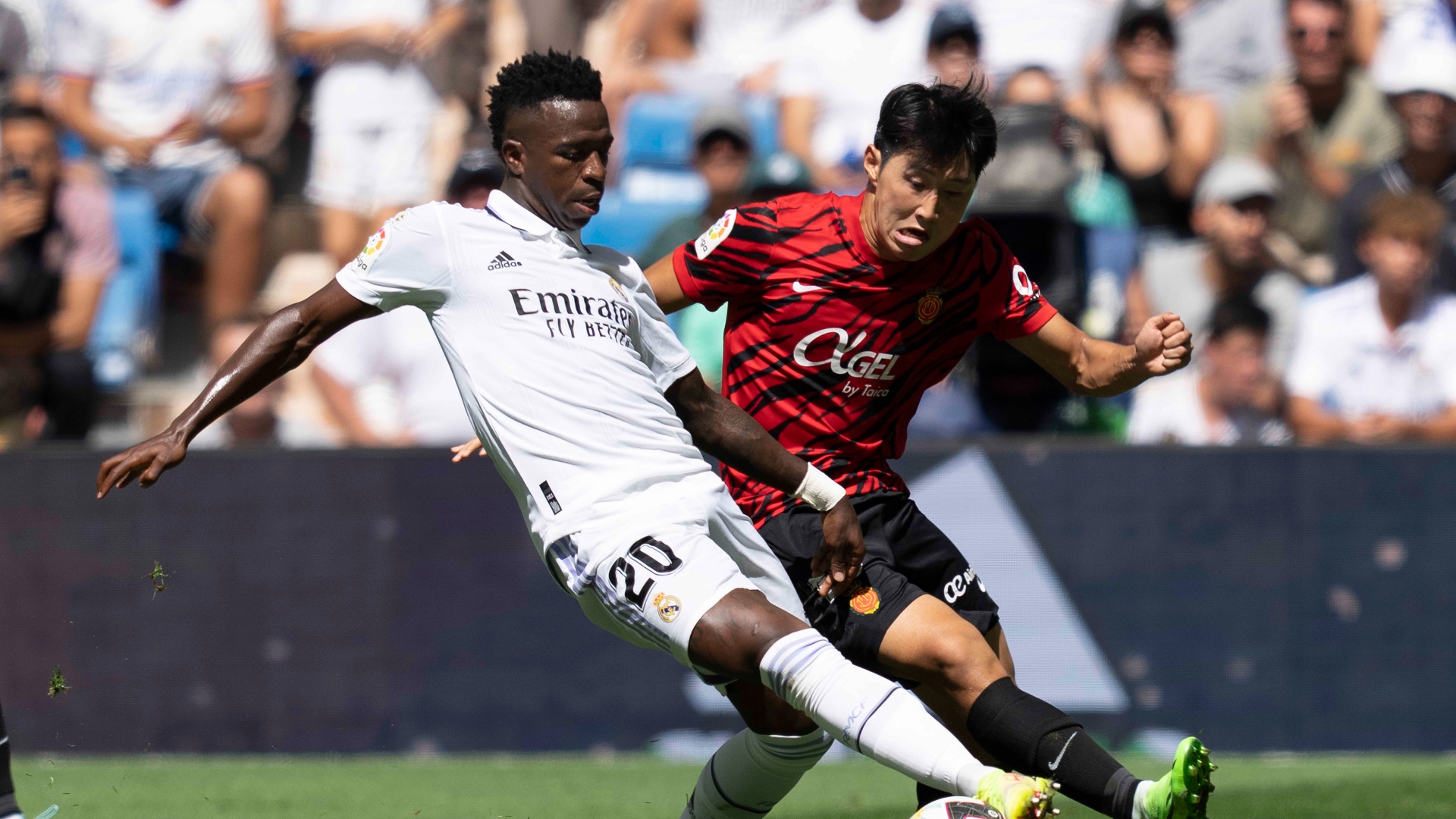 Vinicius Kang In Lee Real Madrid Mallorca LaLiga