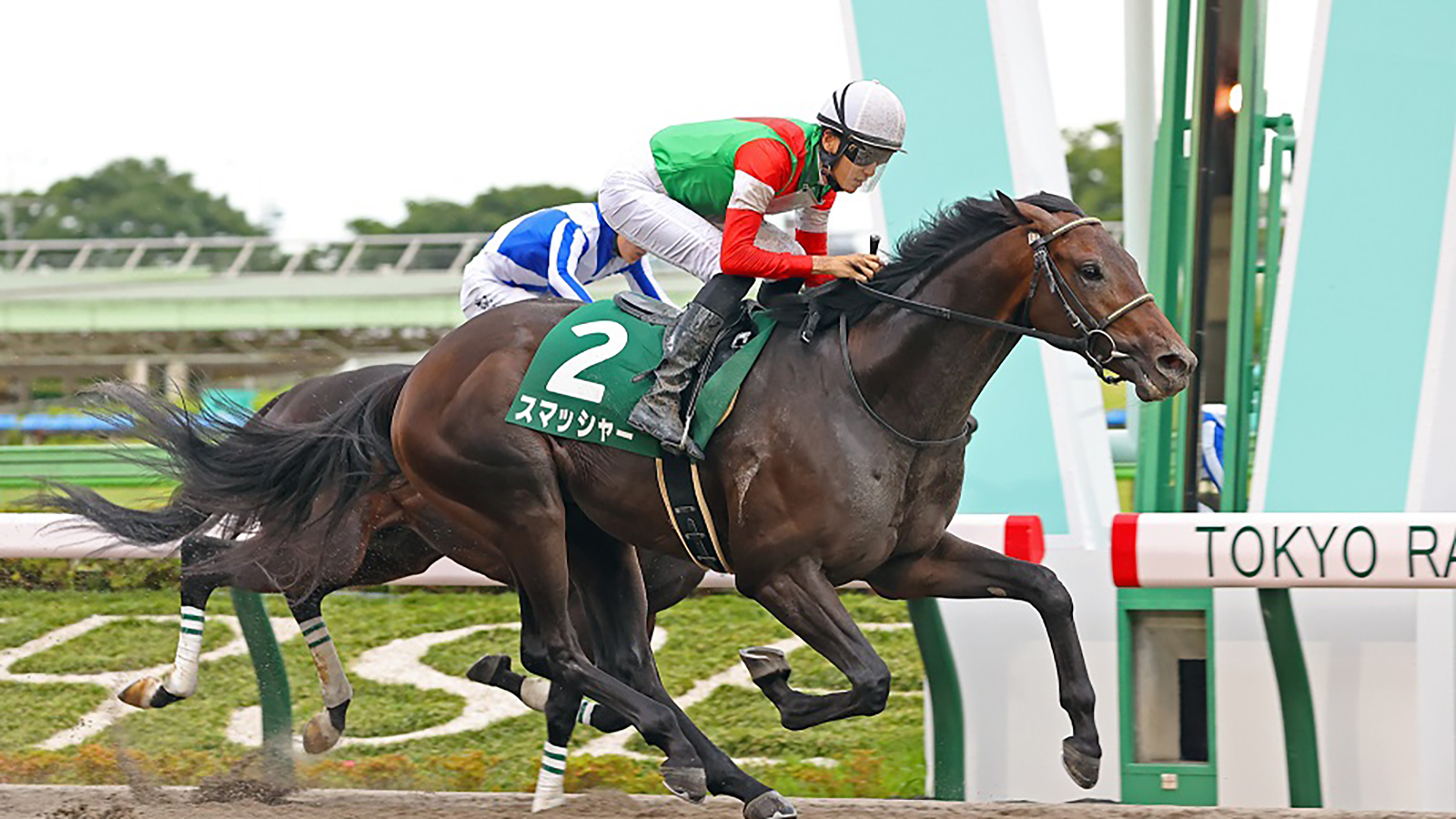 2021-0713-tck-Smasher