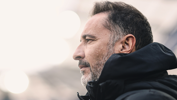 Vítor Pereira Wolves
