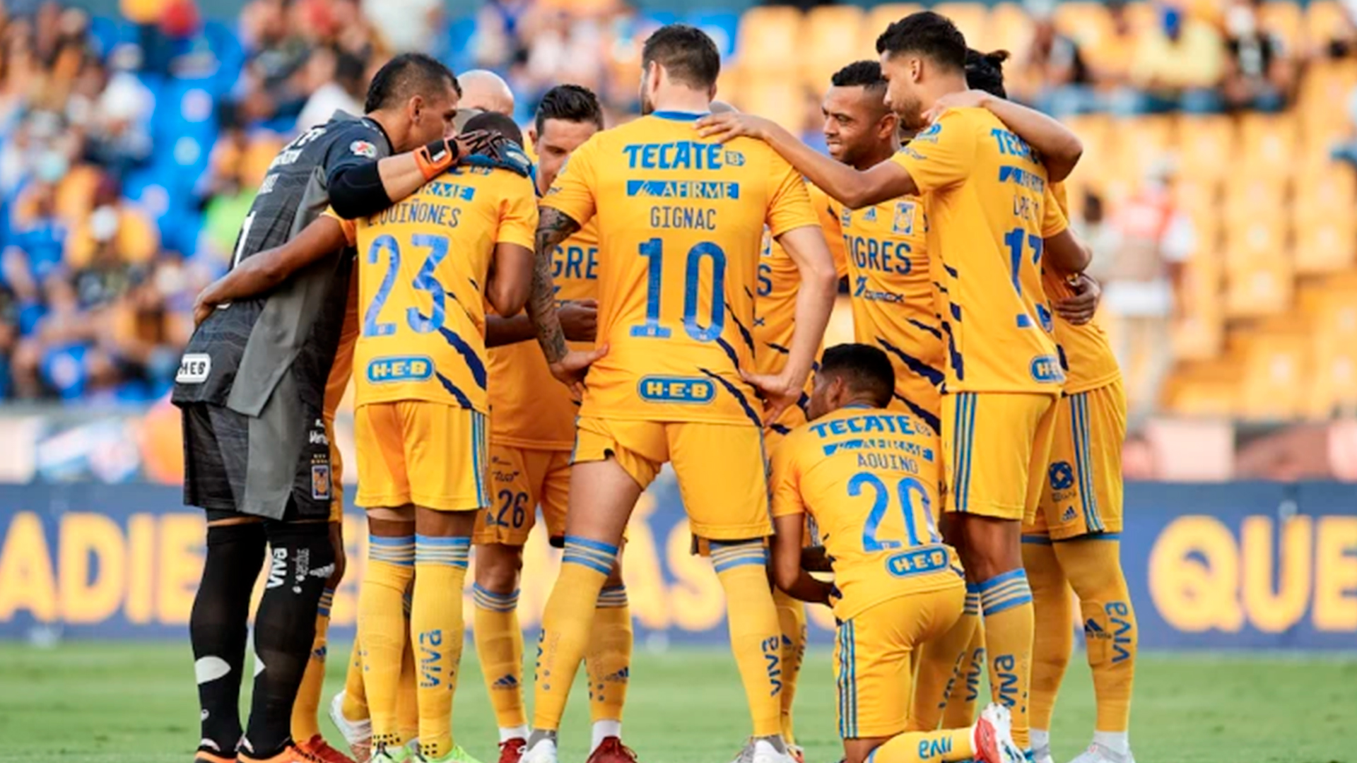 tigres uanl vs pumas unam