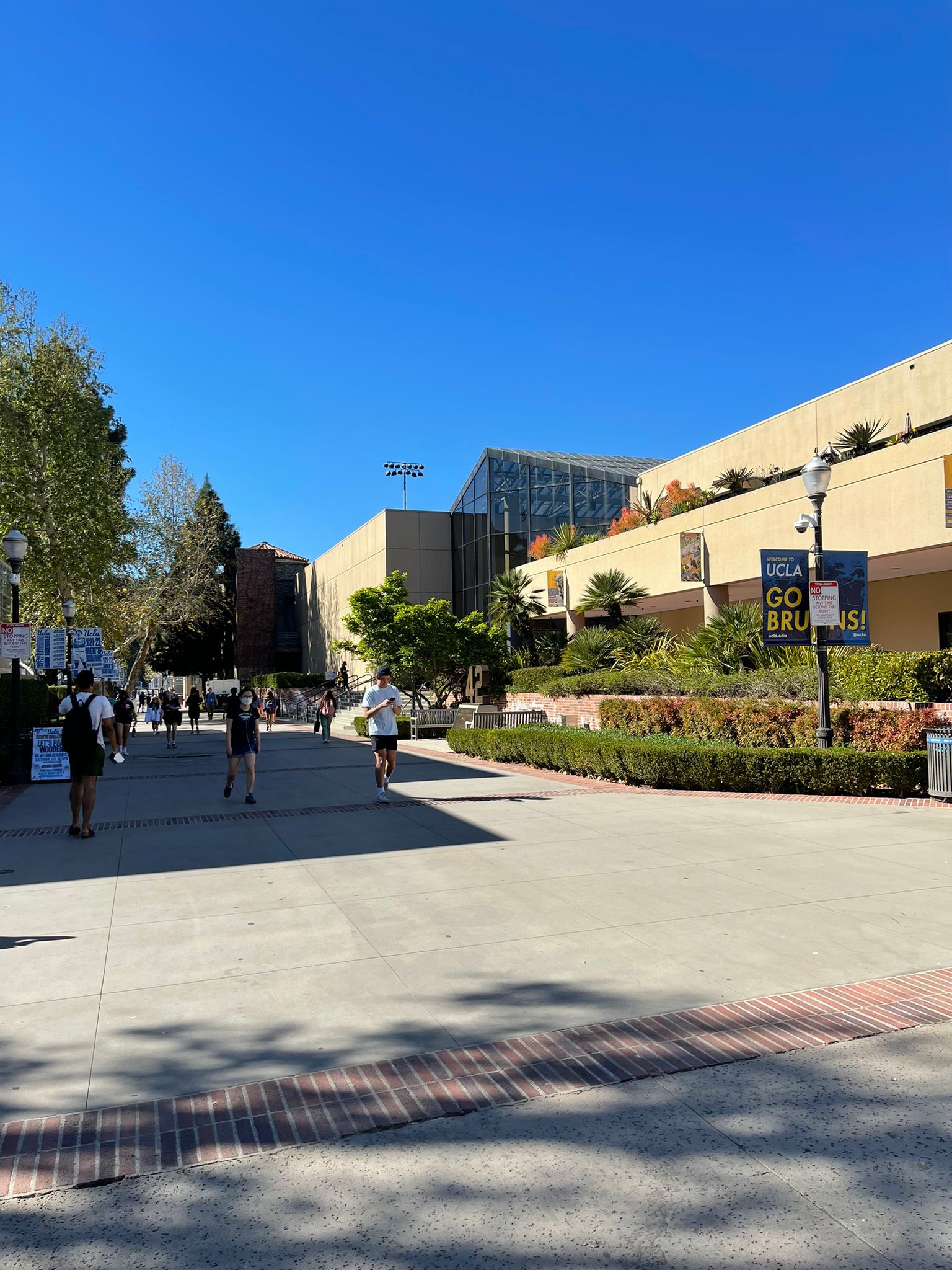 Campus UCLA, Super Bowl