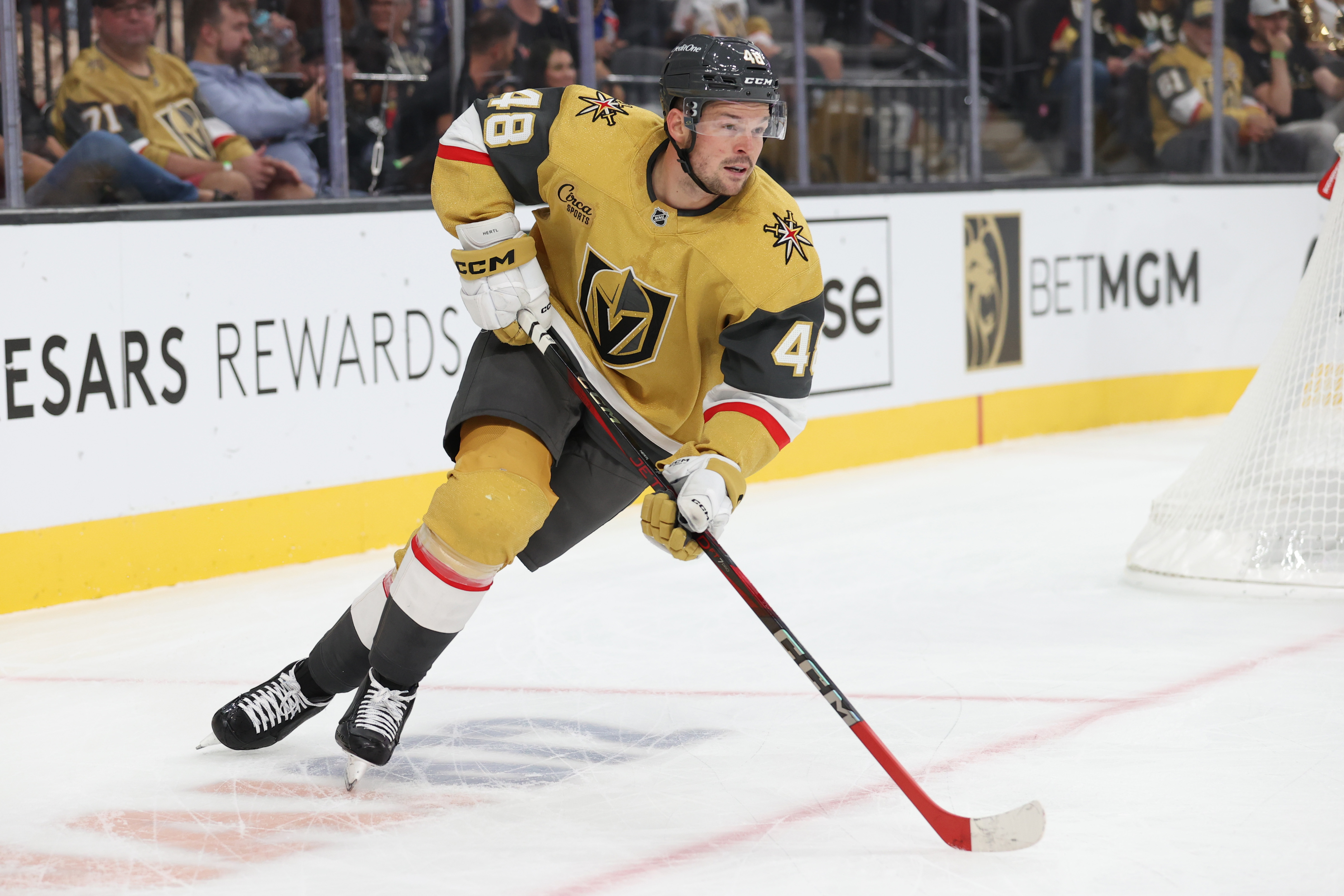 Vegas Golden Knights