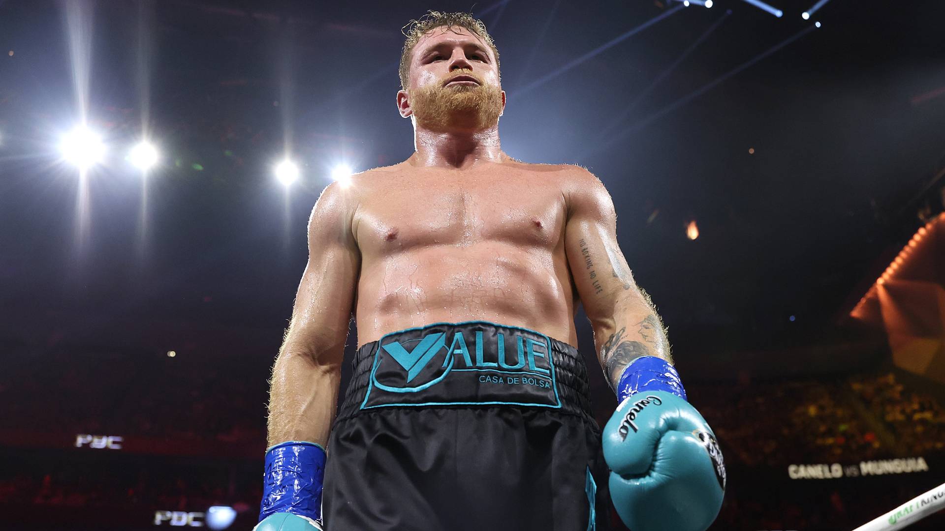 Canelo Alvarez looks on in his super middleweight championship
