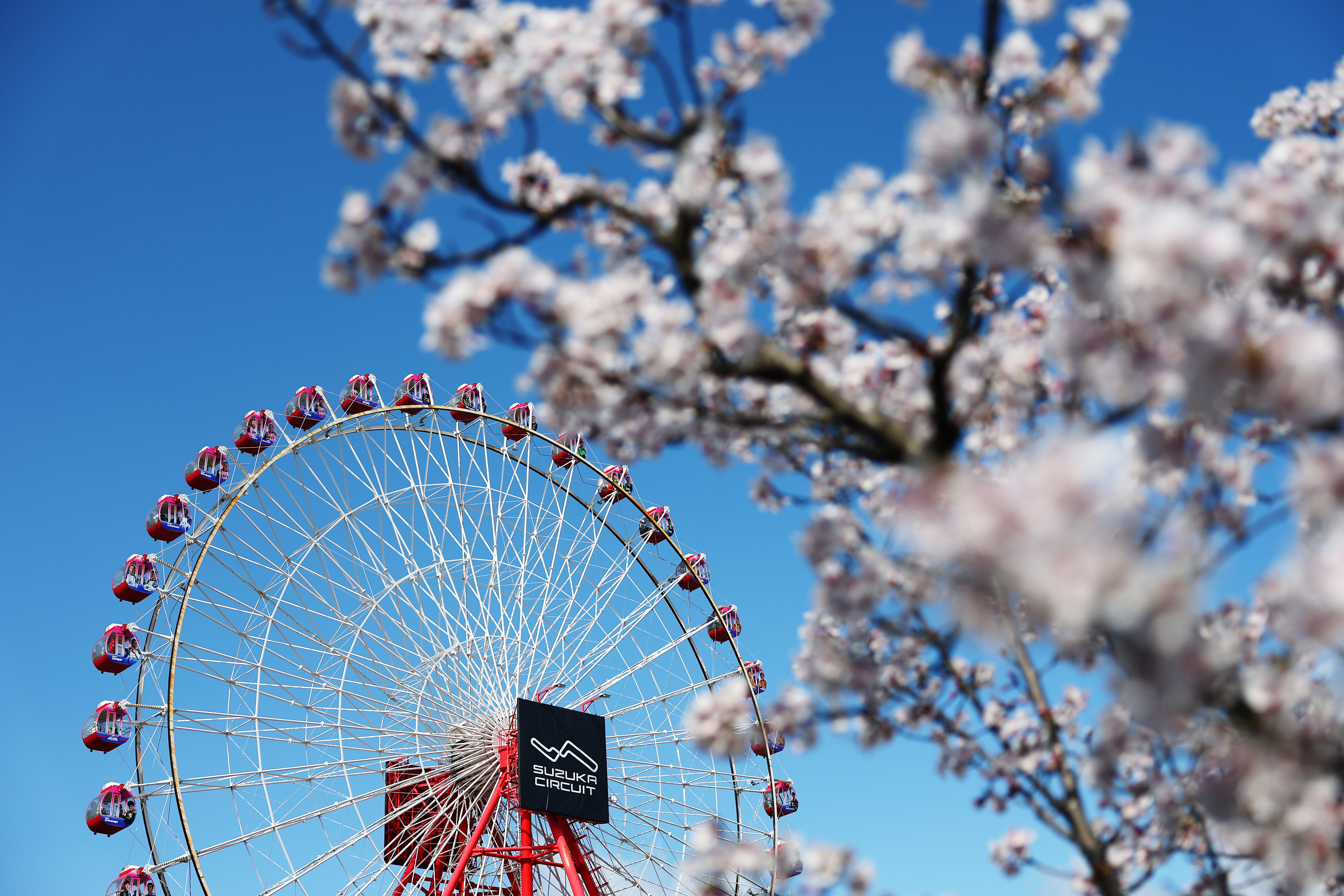 Formula 1 Suzuka