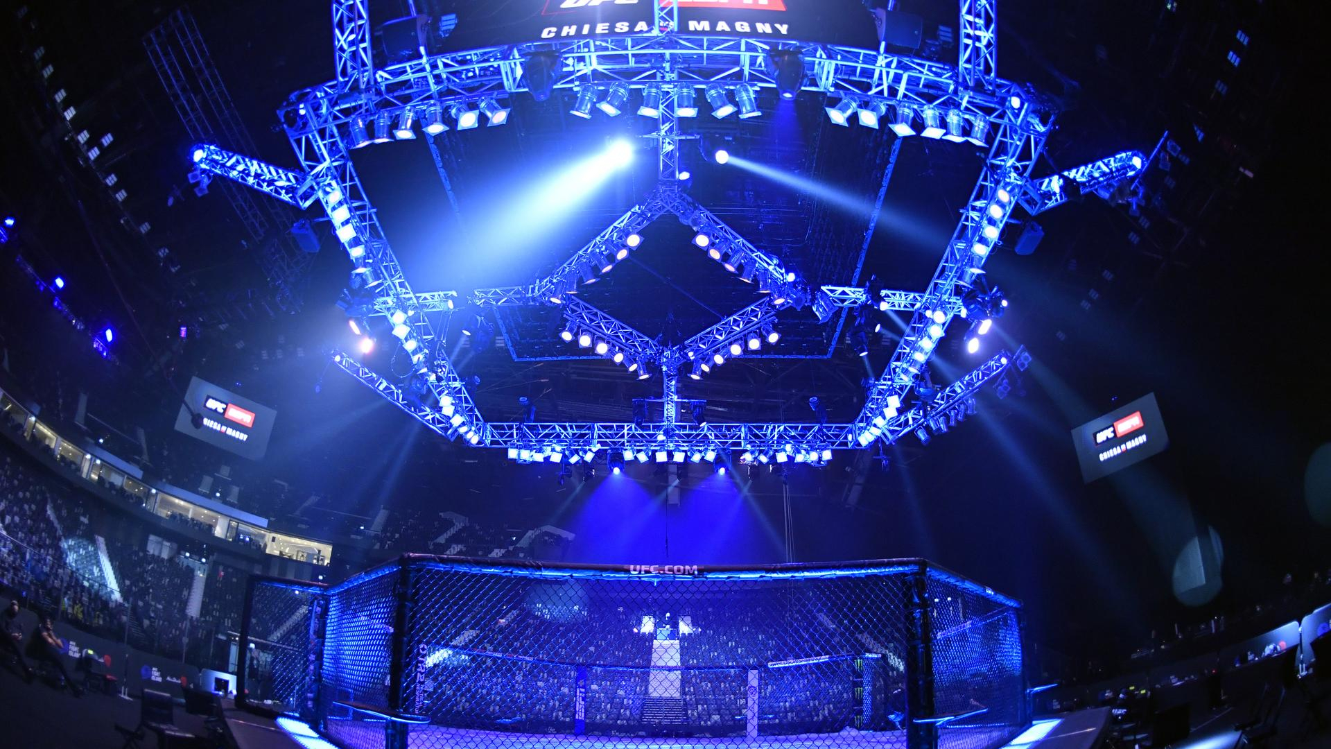 UFC 2022 Octagon